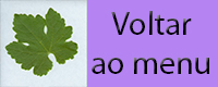 Voltar ao menu